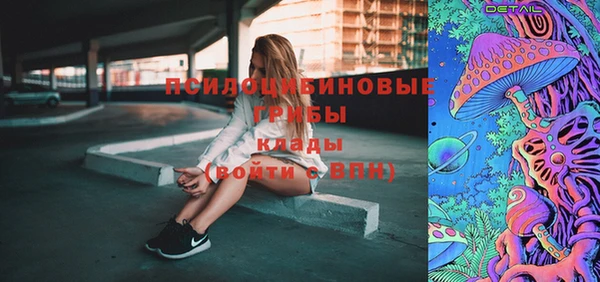 дурь Алексин