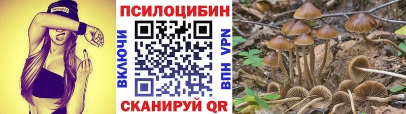 где купить наркотик  Харабали  Псилоцибиновые грибы мухоморы 